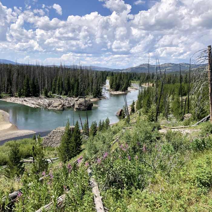 Near Thorofare Trail