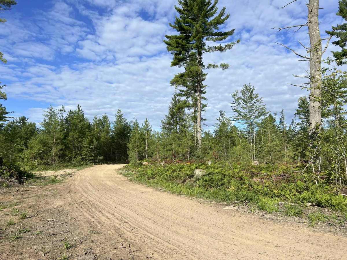 Route FIR - Forest Road 13042 photo 6