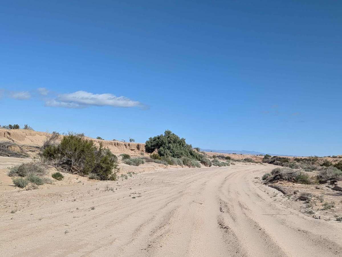 BLM 329 trail photo