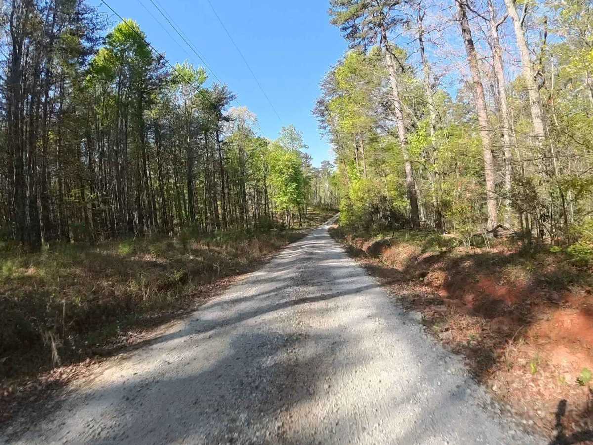Forest Road 752 photo 5