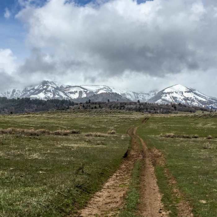 Near Willow Creek/Little Cottonwood