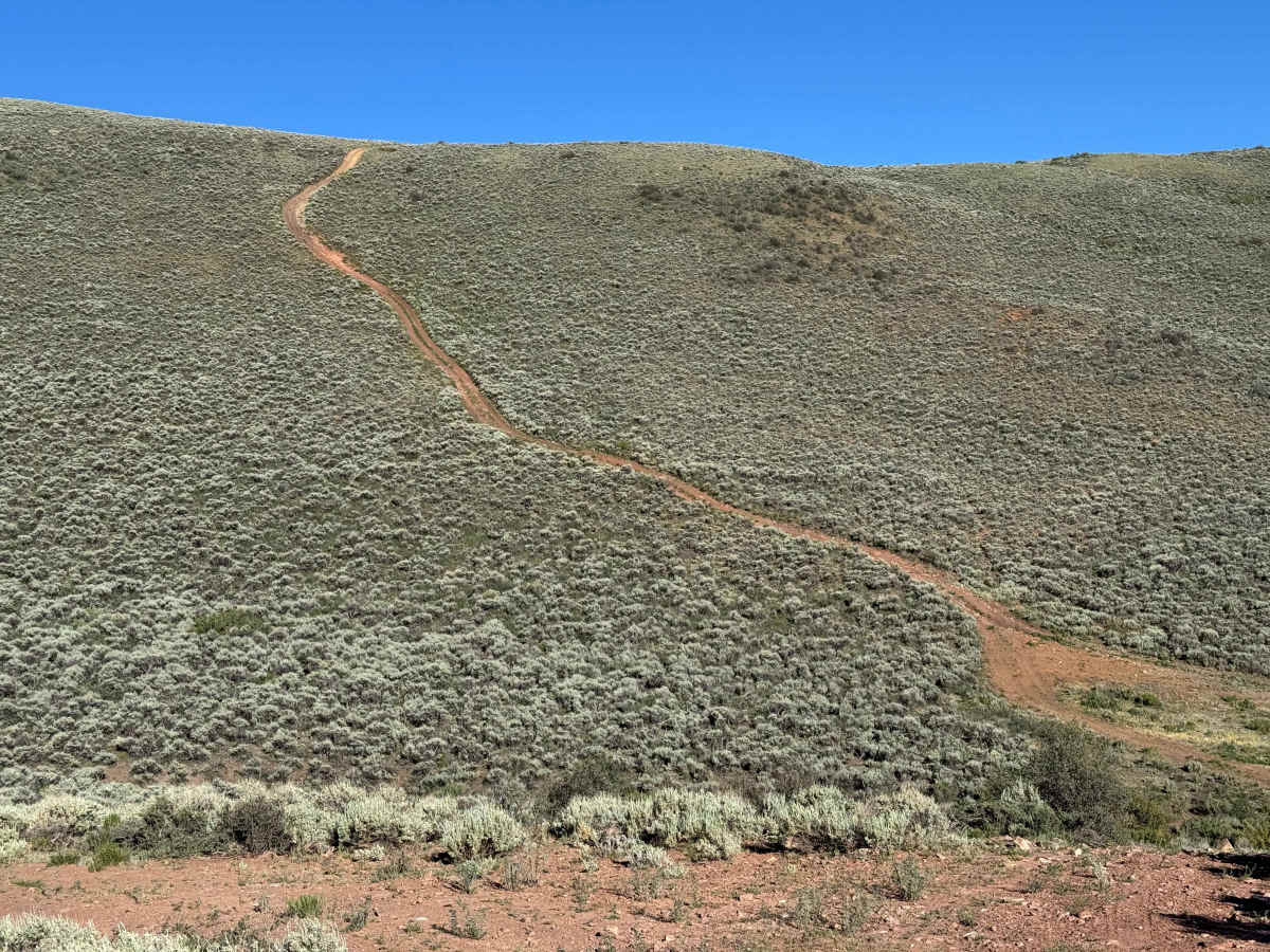 BLM 8485 photo 2