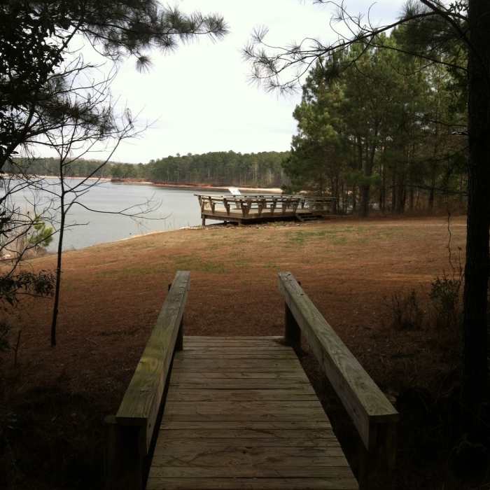 Observation deck over looking West Point Lake towards the end of the easier Lakeside Trail. Perfect place to relax for a bit and possibly see some osprey or eagles. Near Lakeside Trail