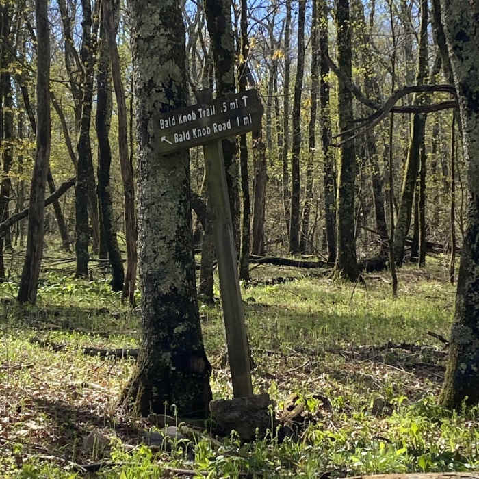 Near Bald Knob Trail