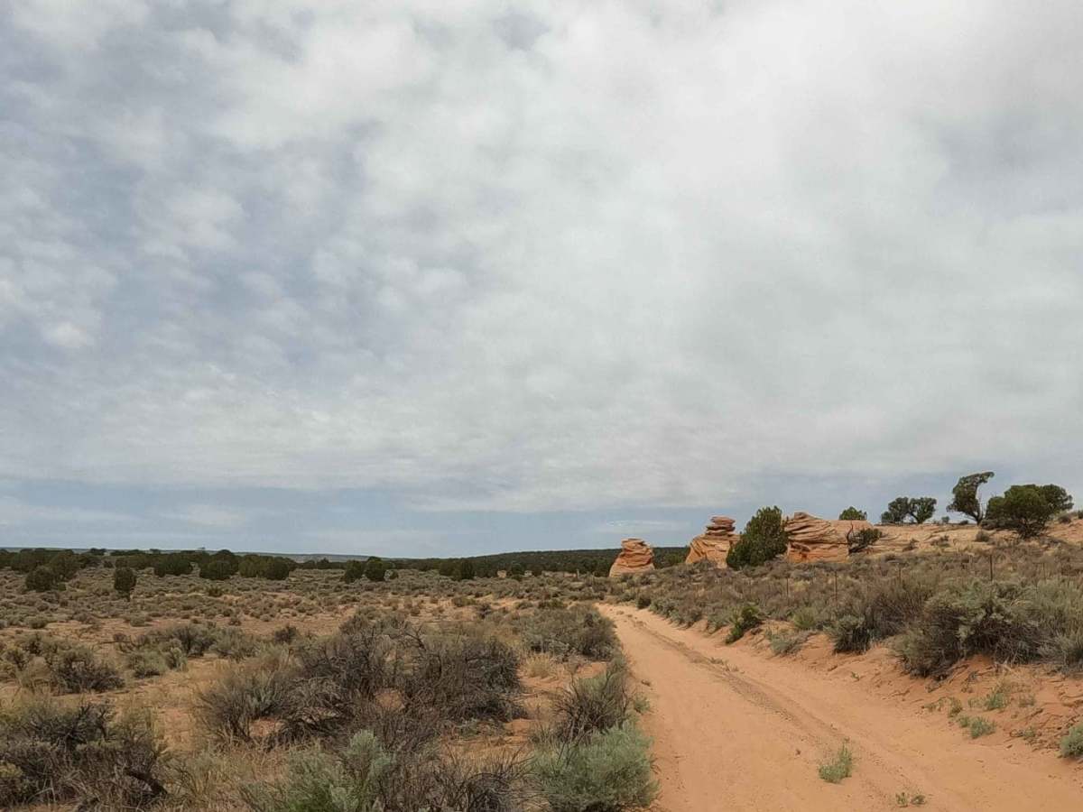Sandhill Loop - NM1084 photo 4