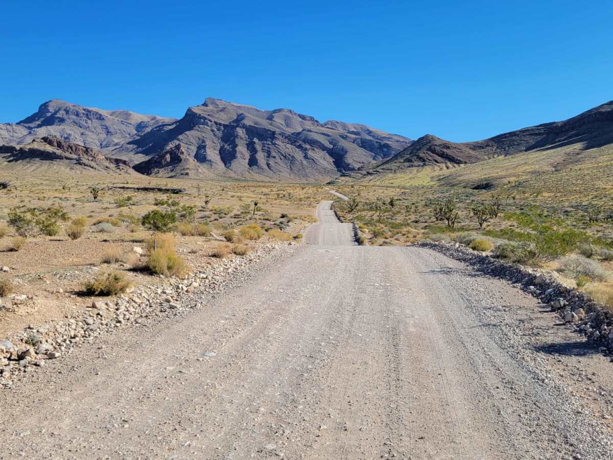 Joshua Tree Road photo 3