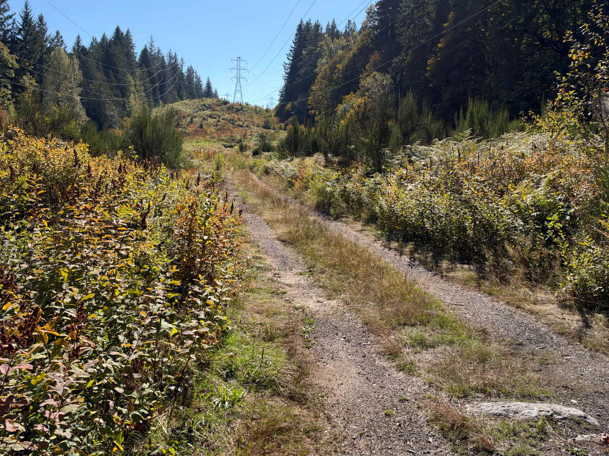 Powerline Vista photo 6