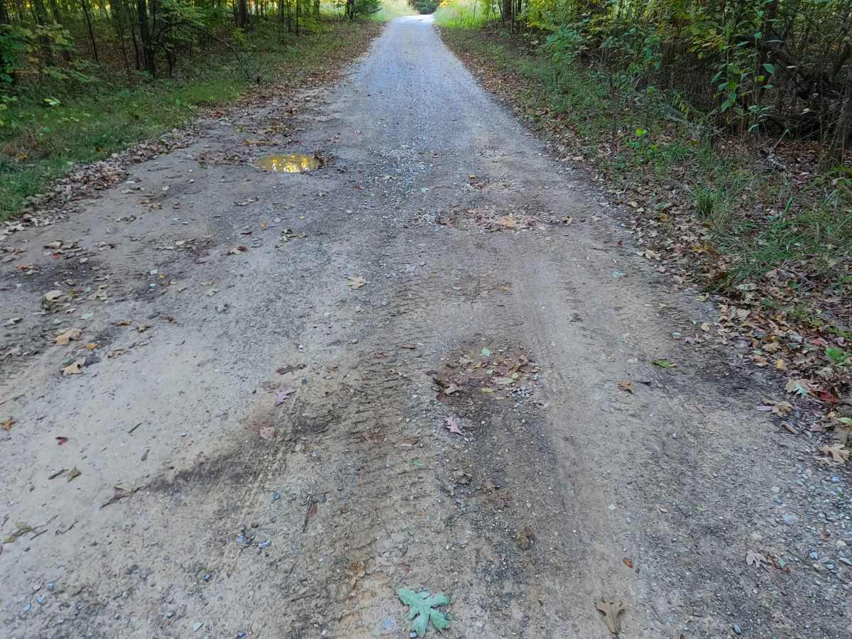 County Line Road - FS 316 photo 3