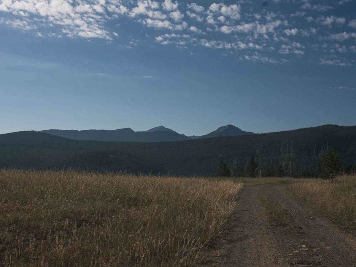 Gold Creek photo 3