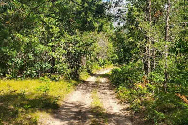 Inner Dogman Trail