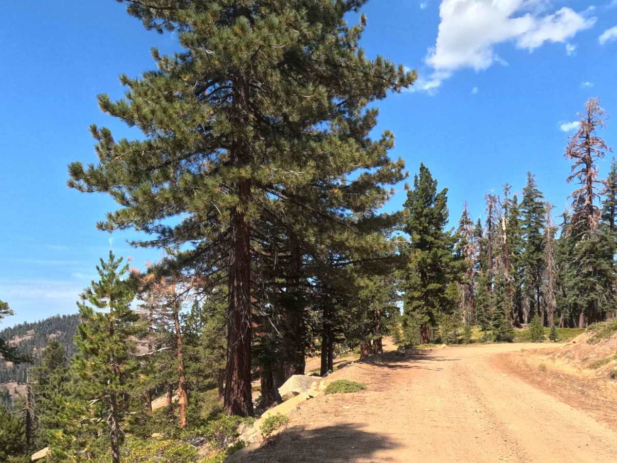 Upper Sky Ranch Road - FS 6S010A trail photo