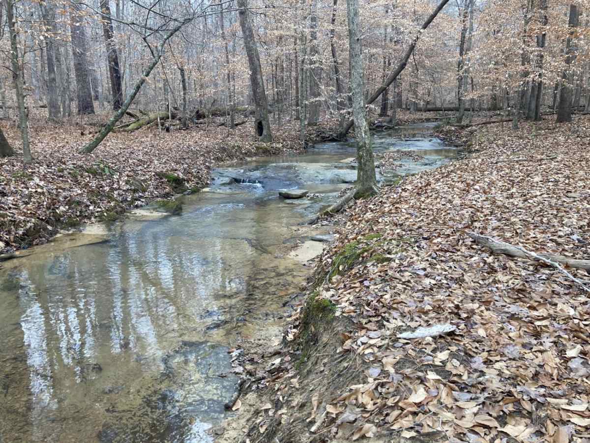Bankhead Roads photo 4