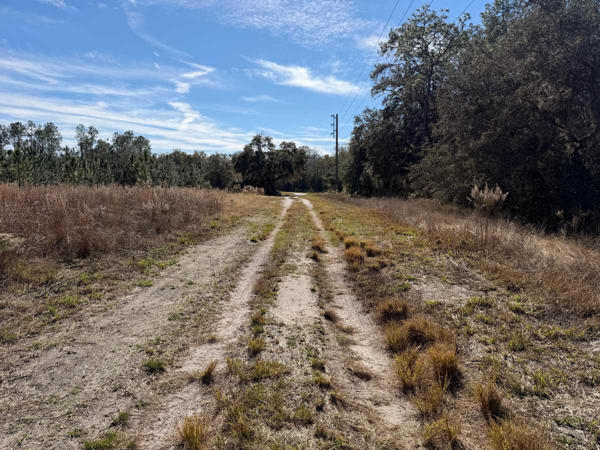 Ranch Road photo 4