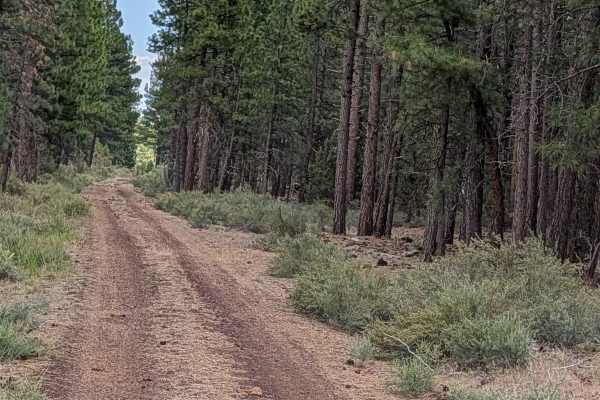 Antelope Well - FS 45N04