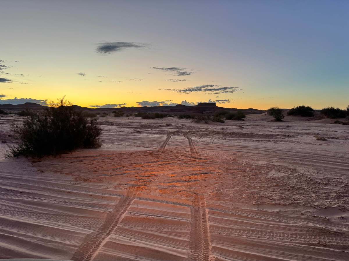 D2890 trail photo