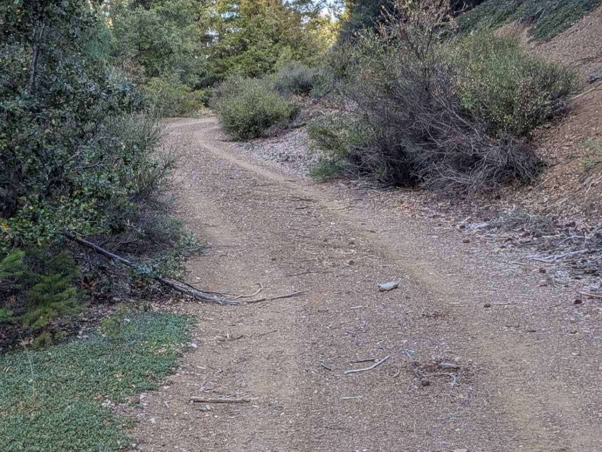 Ponder Road - FS 1N25 trail photo