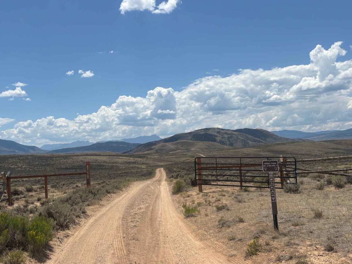 North Red Mountain Trail photo 2