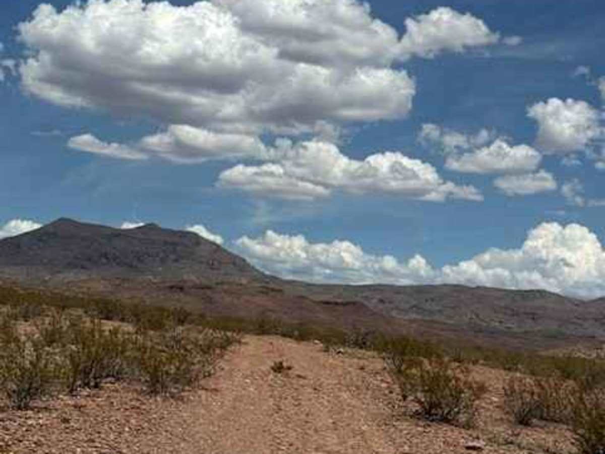 BLM PE1142 photo 6