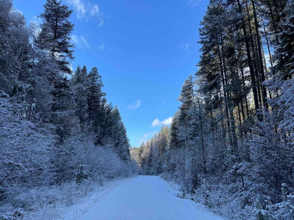 Long Route to Bouleau Lake trail photo