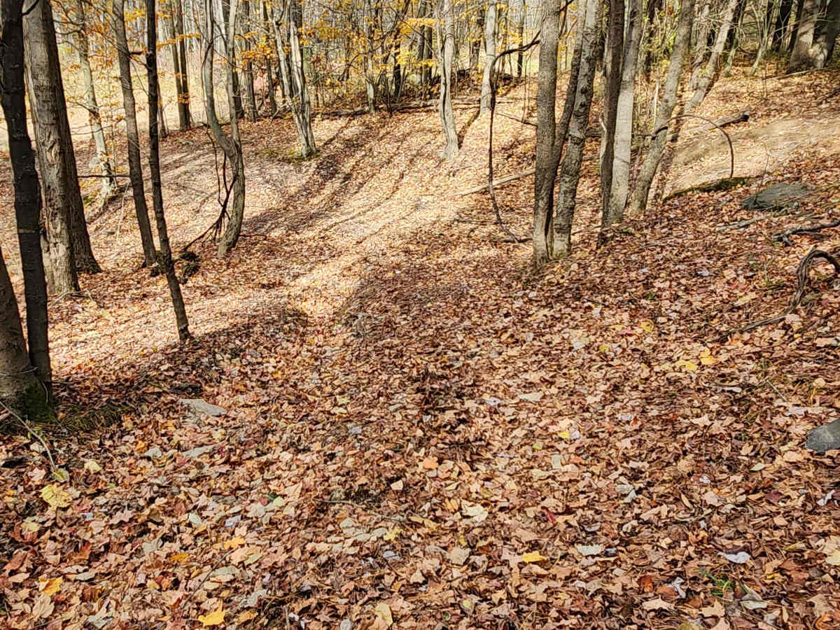 OHV 13 - Rock Run Recreation Area photo 6