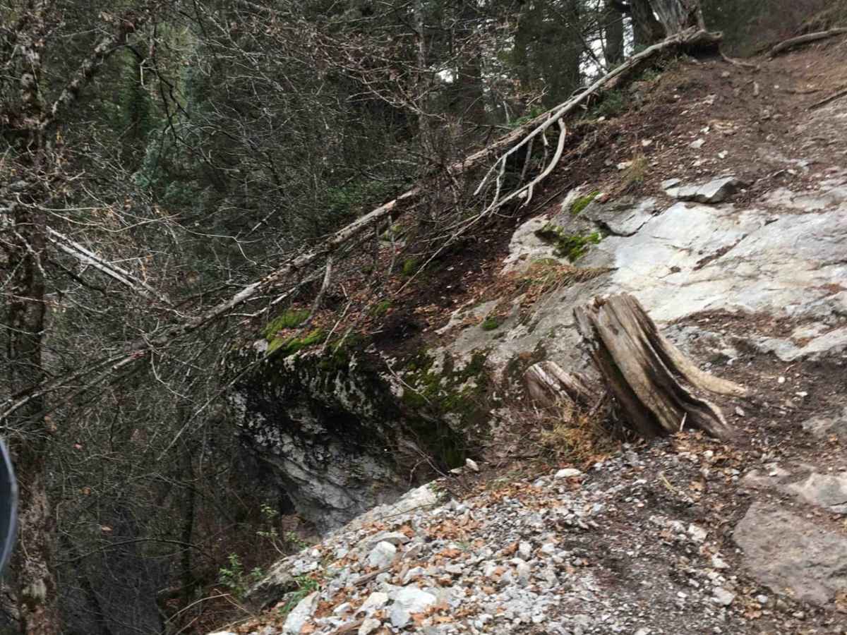 Burns Creek, Hell Hole, and Coalmine Access photo 2