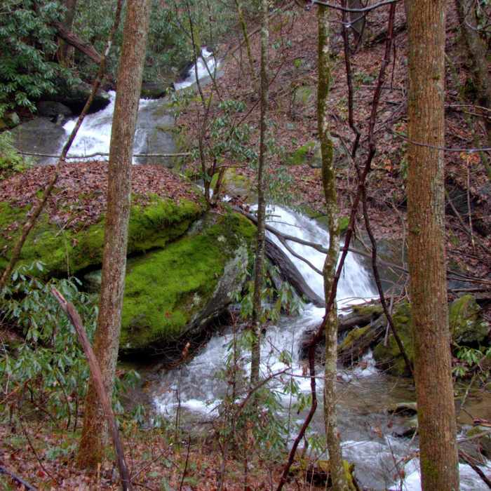 Near Denton Creek Falls Trail Near Denton Creek Falls Trail