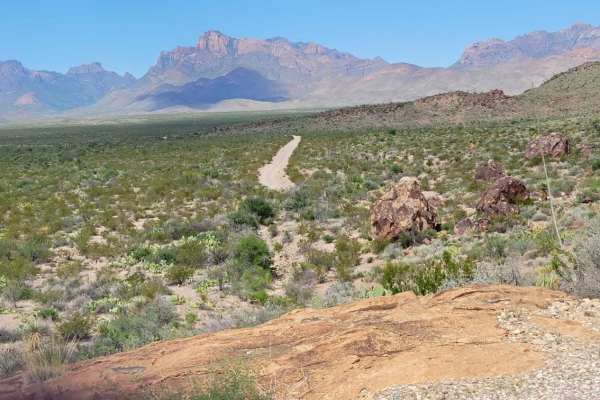 Glenn Springs Road