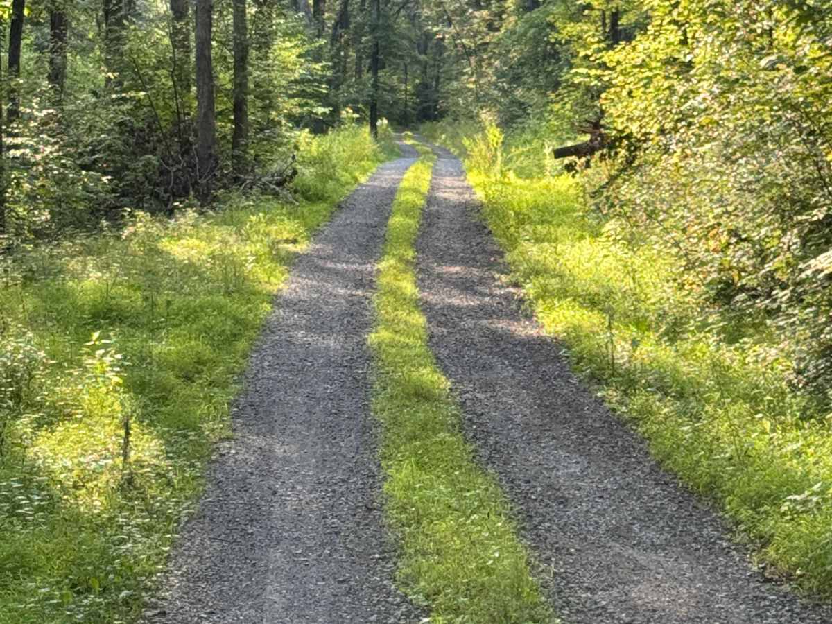 McKees Run Road photo 2