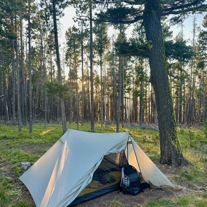 Near Continental Divide Trail: Montana-Idaho Section 22 Near Continental Divide Trail: Montana-Idaho Section 22