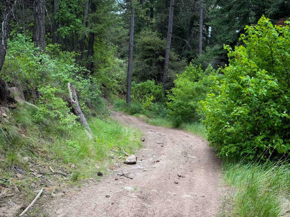 Training Day - Trail 410  photo 3
