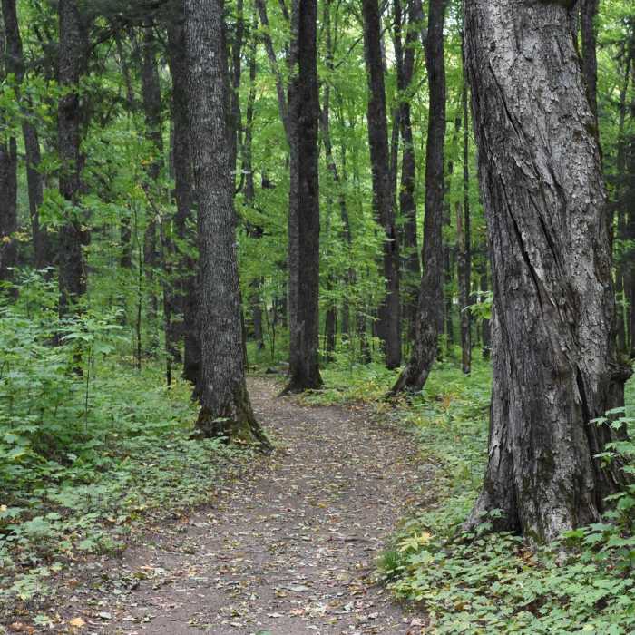 Near Great Conglomerate Falls