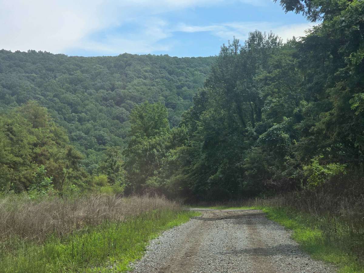 Connector Trail 50 photo 3