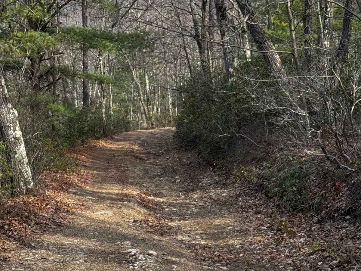 Caldwell Ridge photo 5