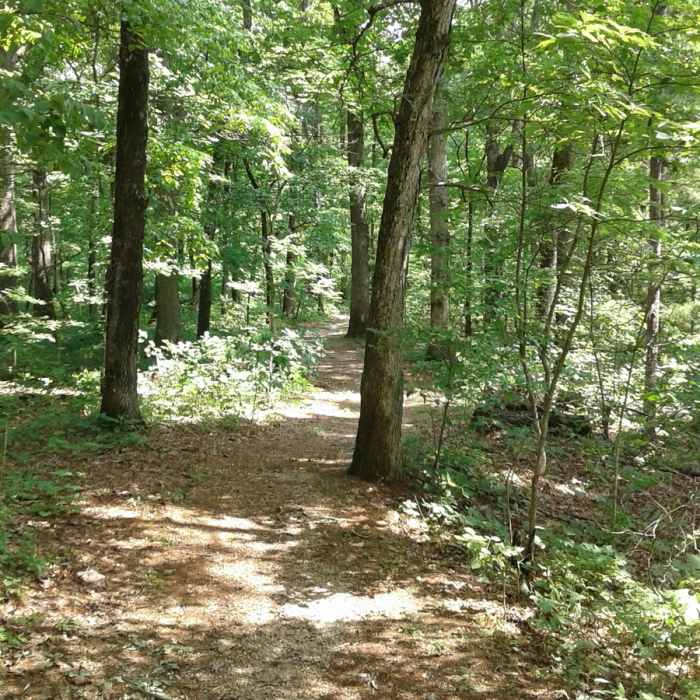 Near Alley Spring Mill Loop