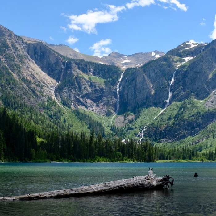 Near Avalanche Trail