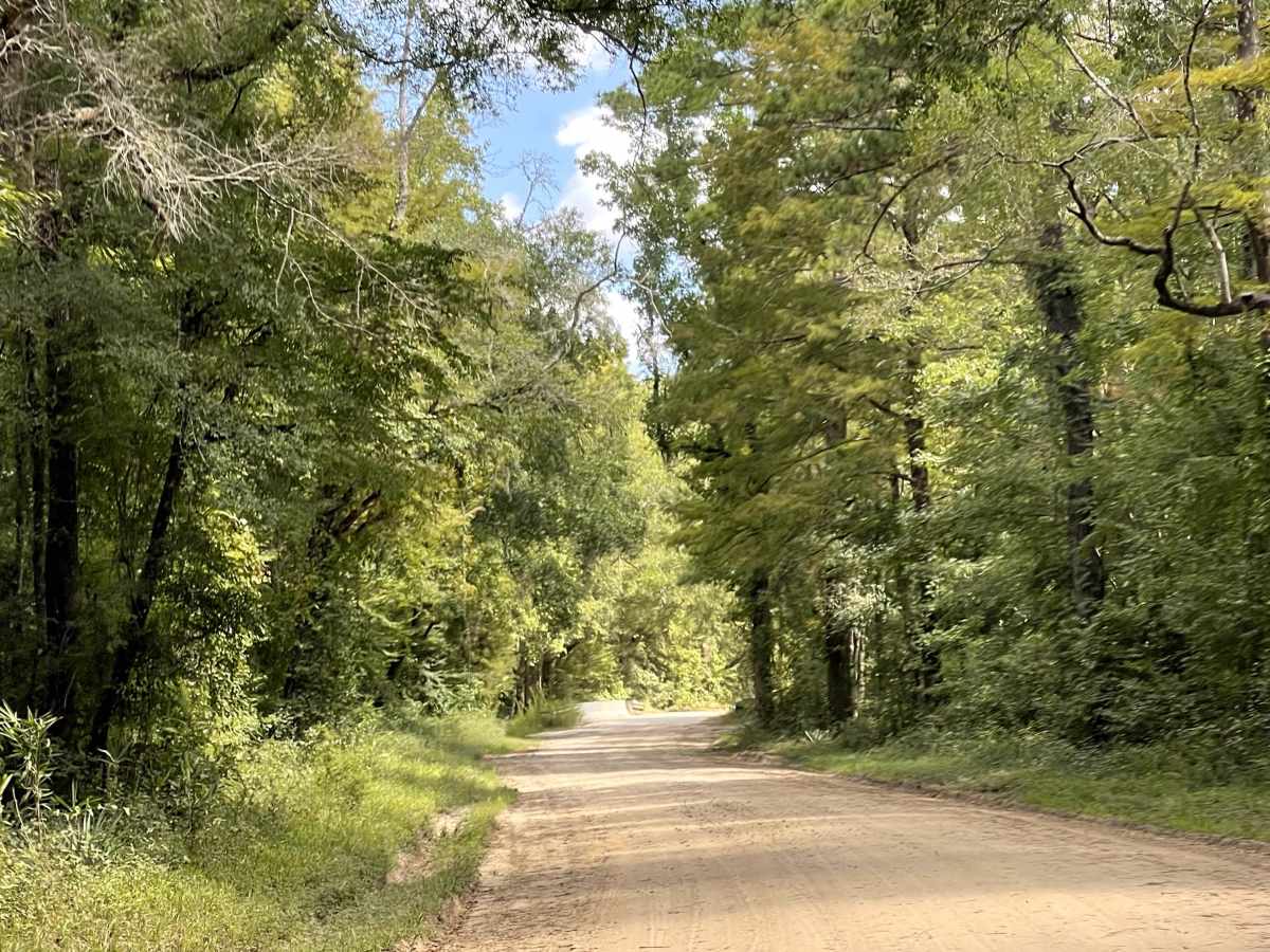 Governor Road  photo 4