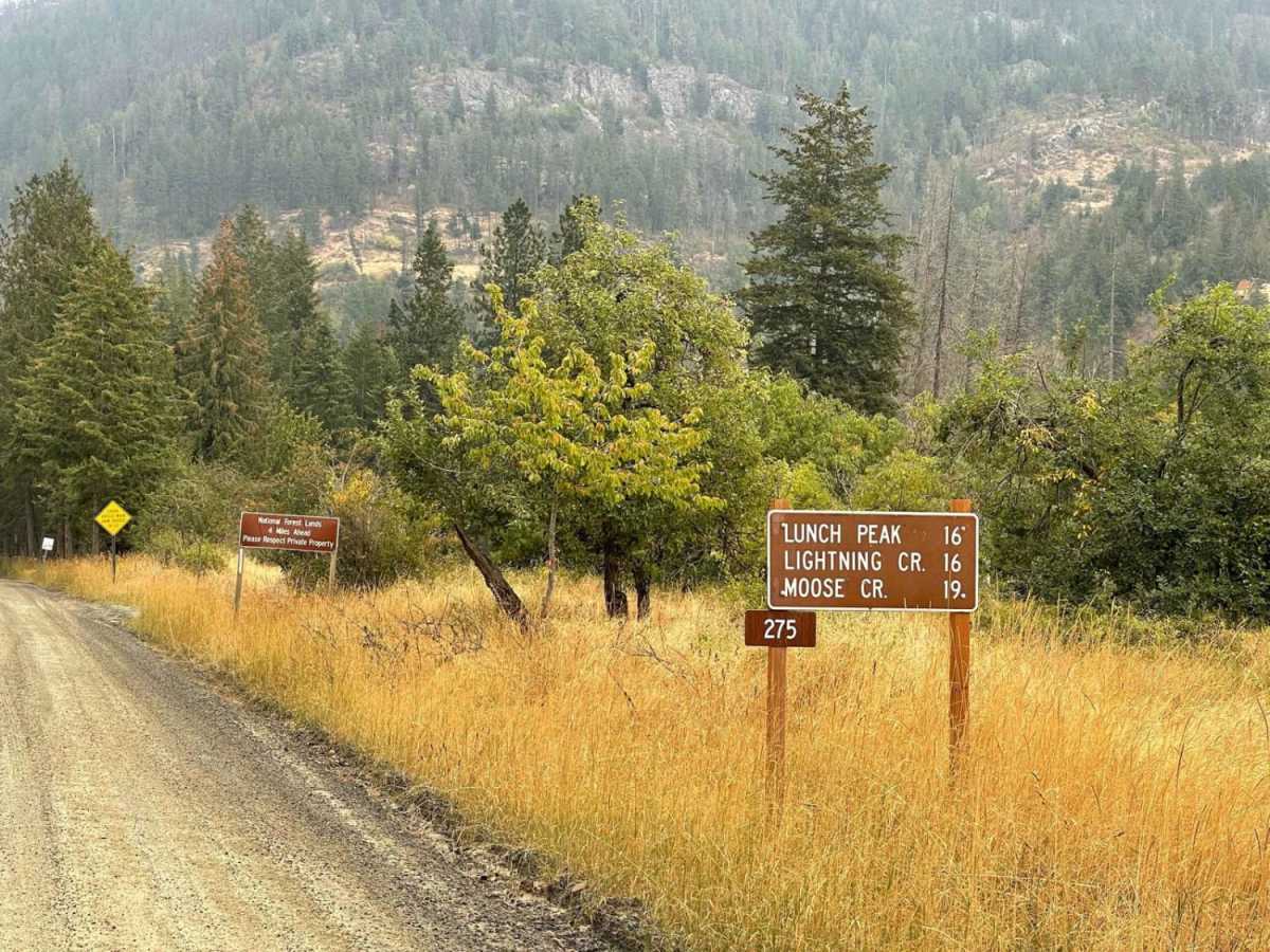 Trestle Creek Trail photo 5
