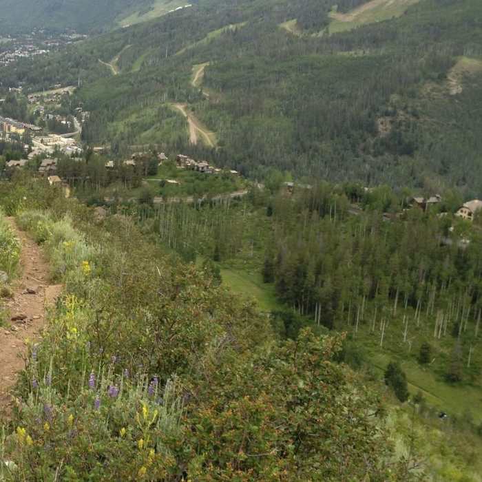 Starting the descent, with views of Vail and the Gore Range. Near Buffehr Creek Trail