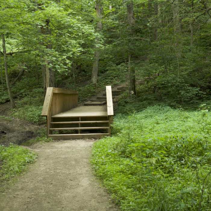 Near Lower Picnic Area Trail