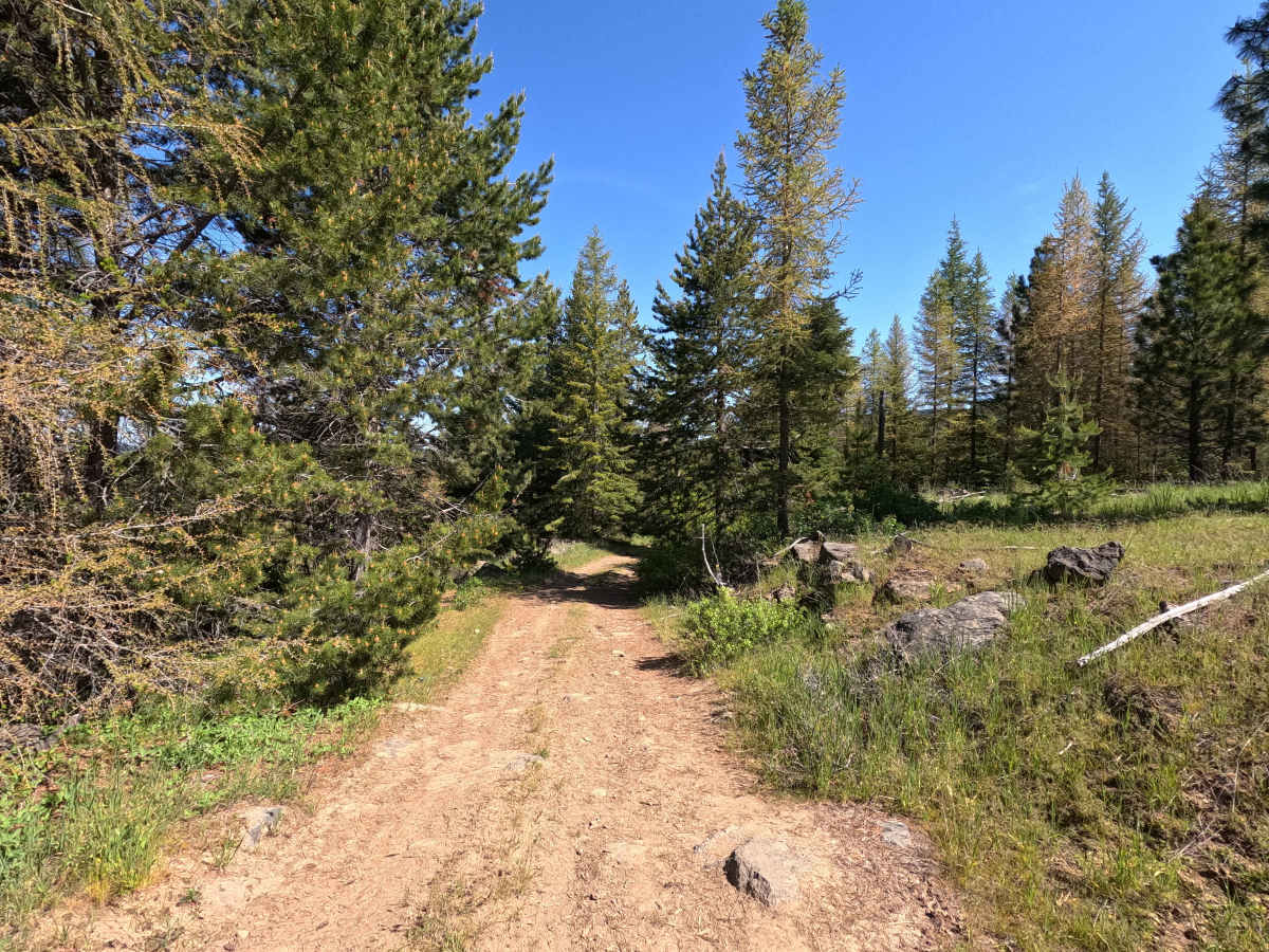 Vaca Loop - Trail 204 photo 6