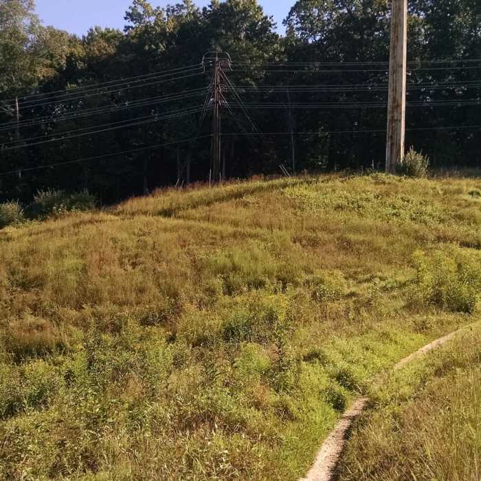 Near Seneca Creek Greenway Trail