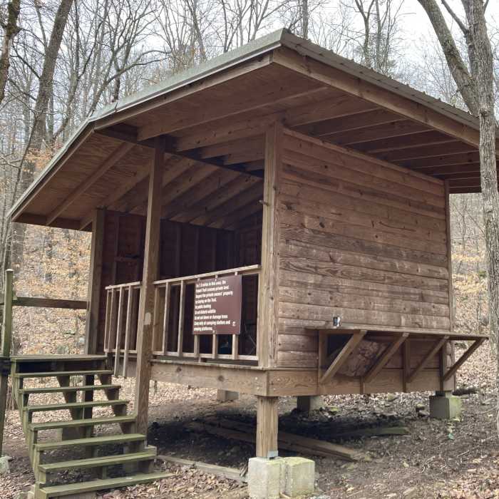 Near Pinhoti Trail: Section 13