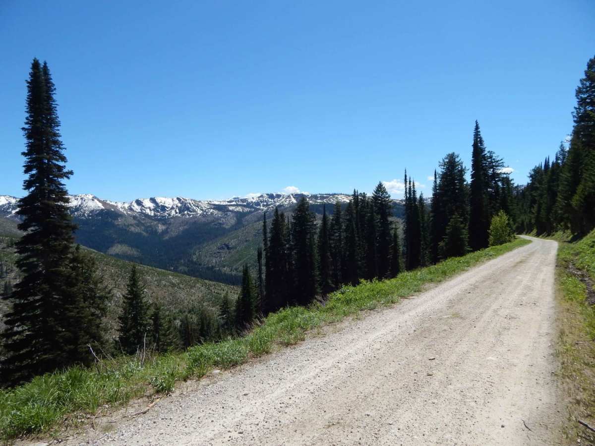 Elk Meadows - Packers Meadows photo 5