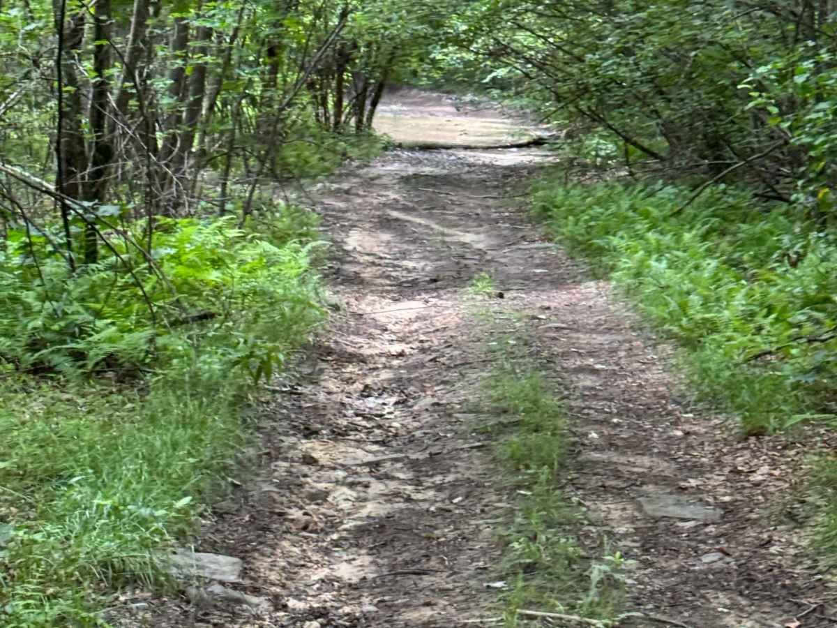 Trail 36 photo 4