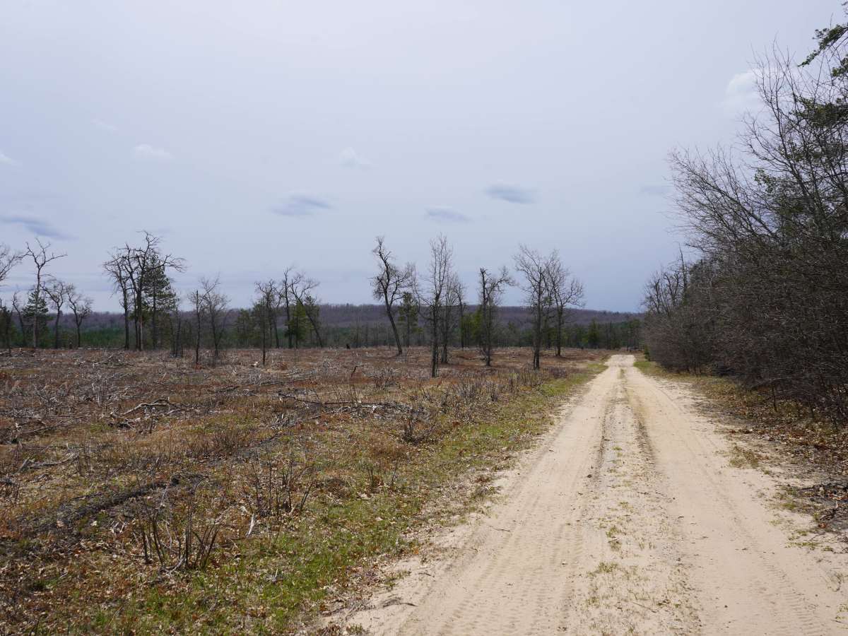 Meridian Road - FS 4165 trail photo