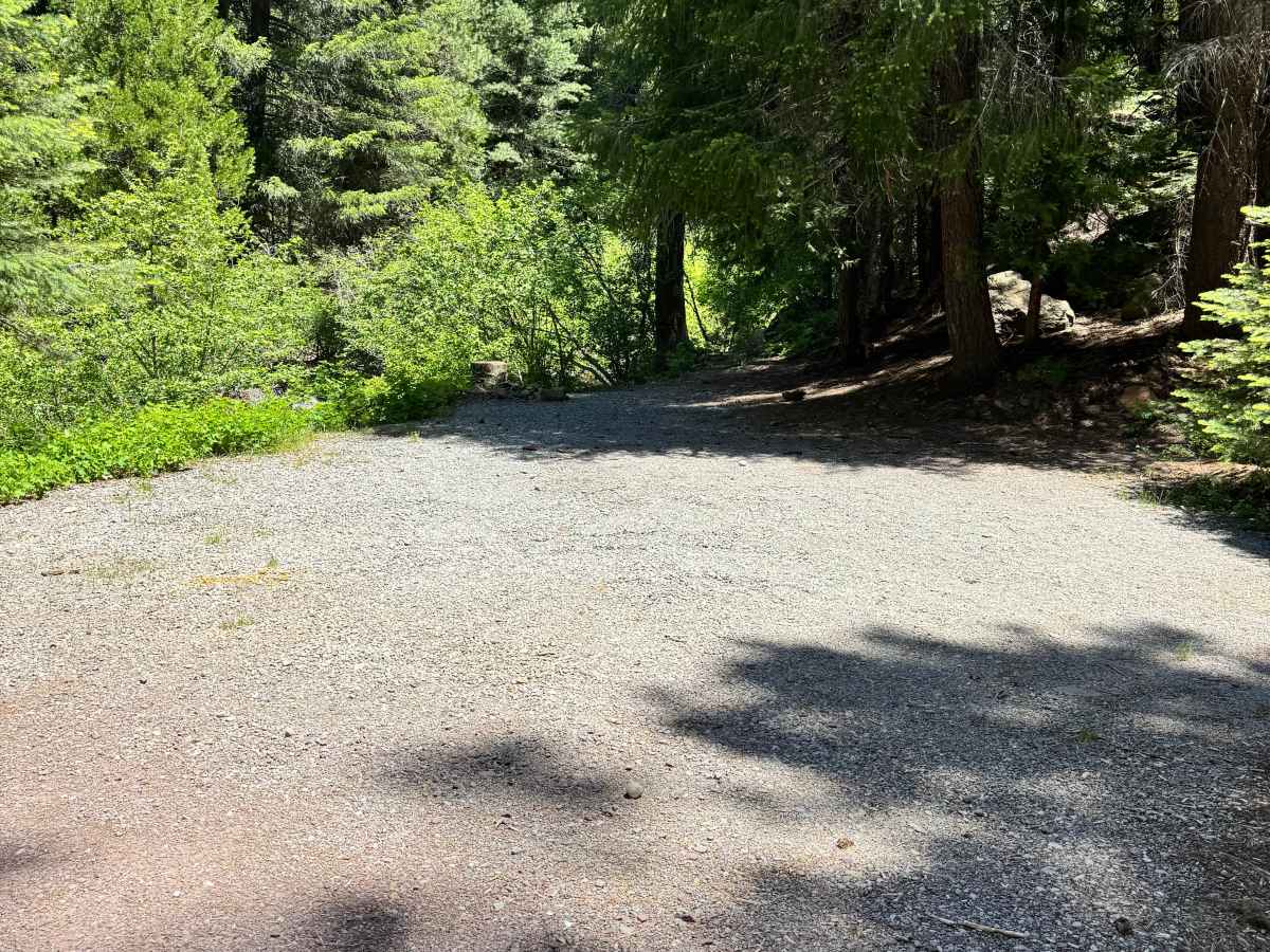 Elam Carter - FS 28N12 trail photo