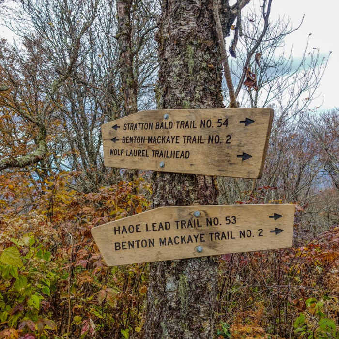 Near Joyce Kilmer-Slickrock Wilderness Loop Near Joyce Kilmer-Slickrock Wilderness Loop