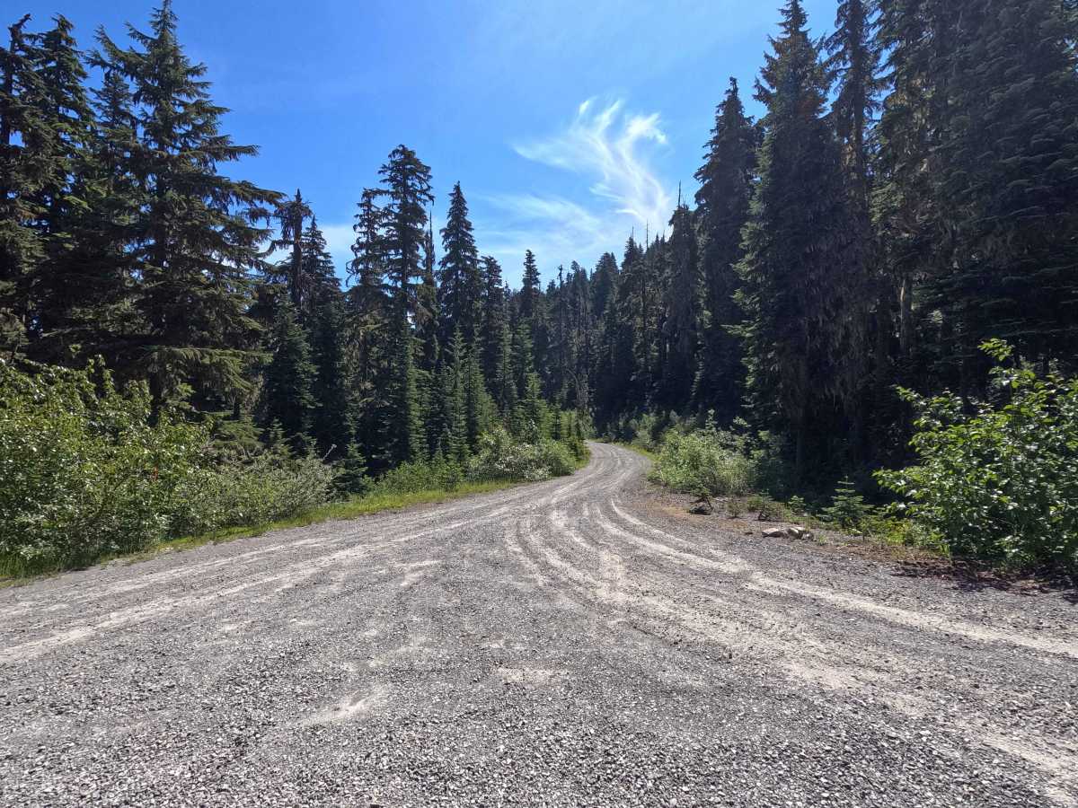 Tumble Creek - FS 4600125 trail photo