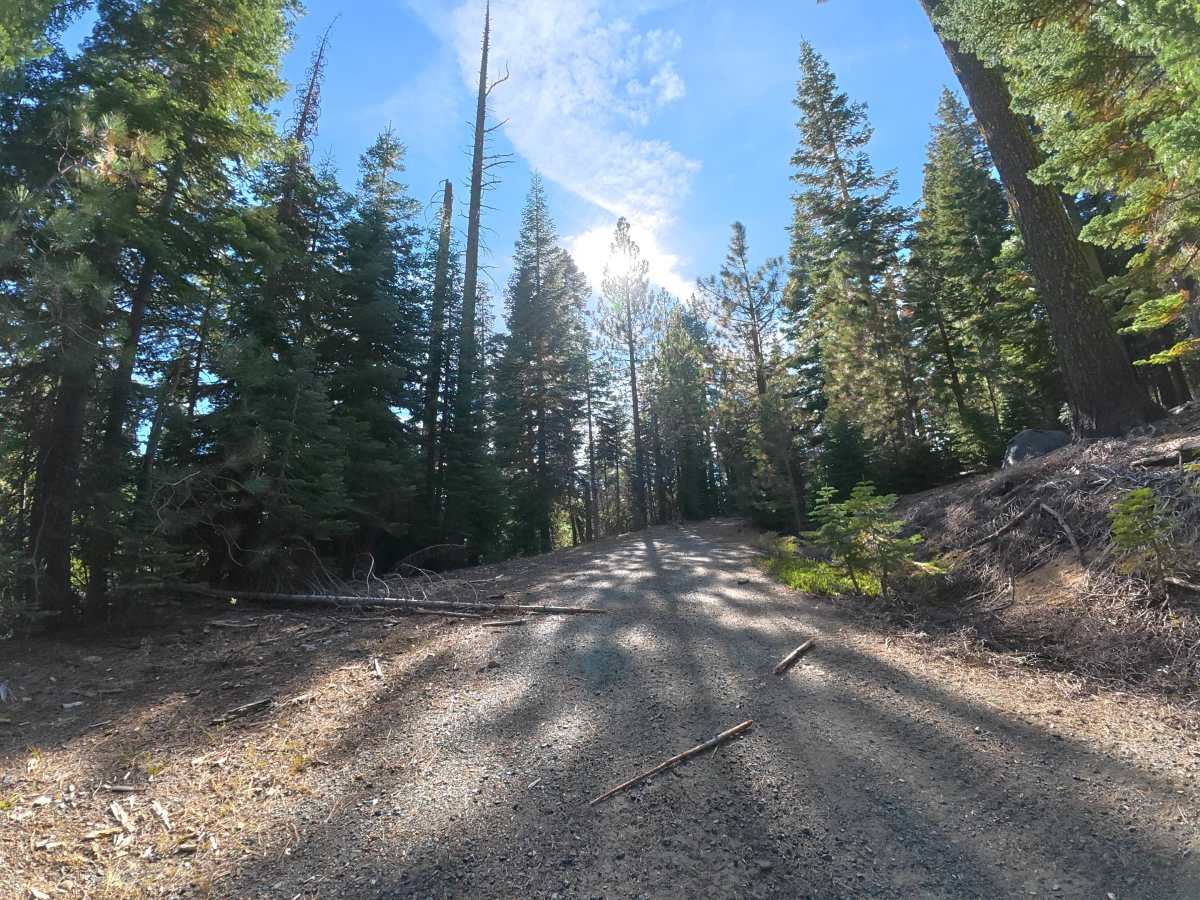 FS 6N17Y trail photo