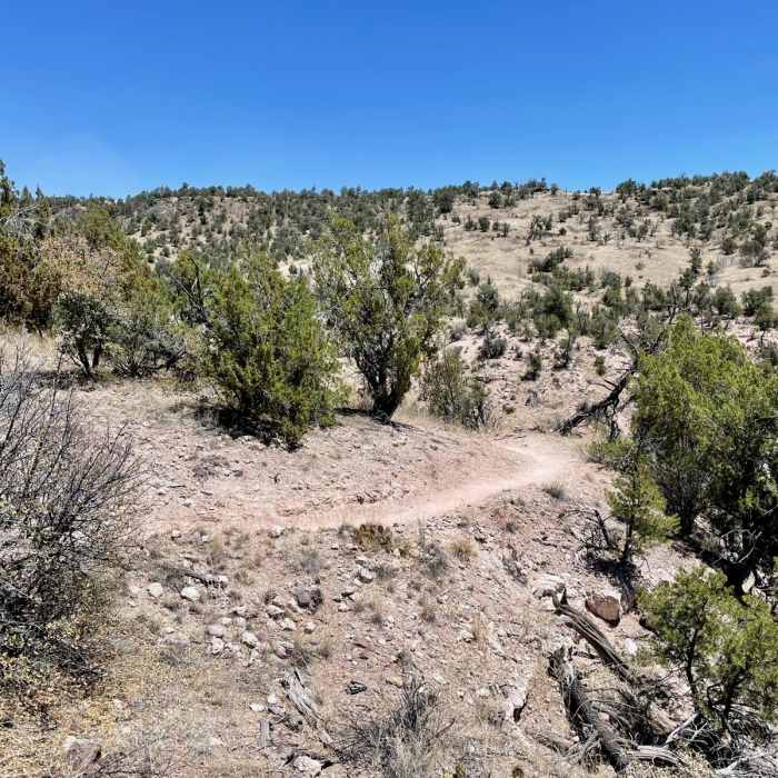 Near Little Bear Canyon Hike